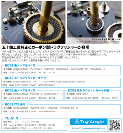 五十鈴工業 トライアングル 「カーボン ドラグ ワッシャー」 【クリックポスト発送可】