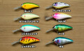 ★ご予約商品★スキルフル「T-bait Jr mid」【クリックポスト発送可】※納期11月下旬頃