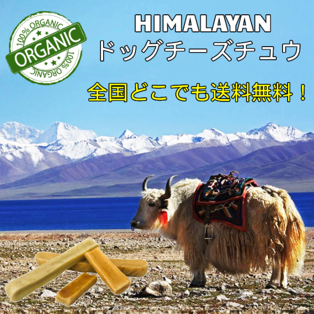 ヒマラヤ ドッグチーズチュウ] Sサイズ (2～3本入り) 約60g～75g