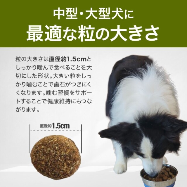 BEWITAL] ドッグランド アダルト 中型犬・大型犬向け 大粒 15Kg 成犬用