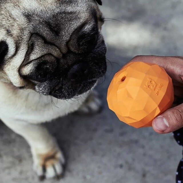 zee.dog] スーパーオレンジ 犬用おもちゃ/知育玩具/耐久性あり