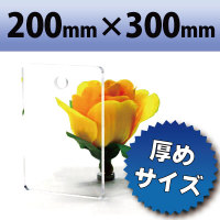 アクリル板（キャスト板）　透明−200mm×　300mm　厚み15mm