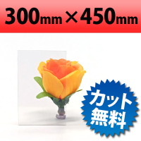 塩ビ板 透明 300×450mm 厚み3mm クリア 加工 オービター orbiter 通販