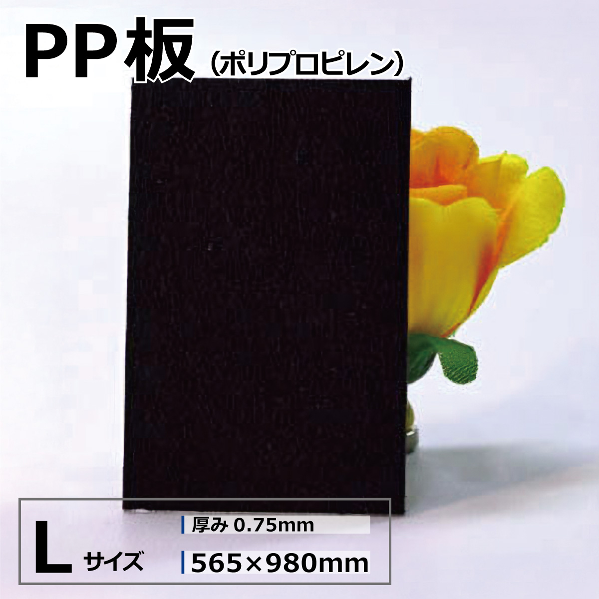 PP-「P」 3枚 PPボード 帯電防止タイプ 36版 900×1800mm 5枚セット 厚さ3mm 重量3.2