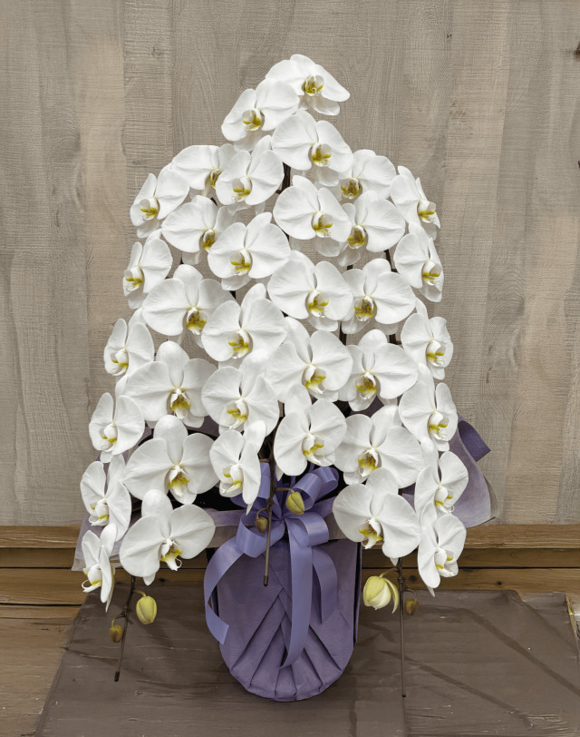 御供花大輪胡蝶蘭 ホワイト 3本立ち 45輪程度(蕾含む）