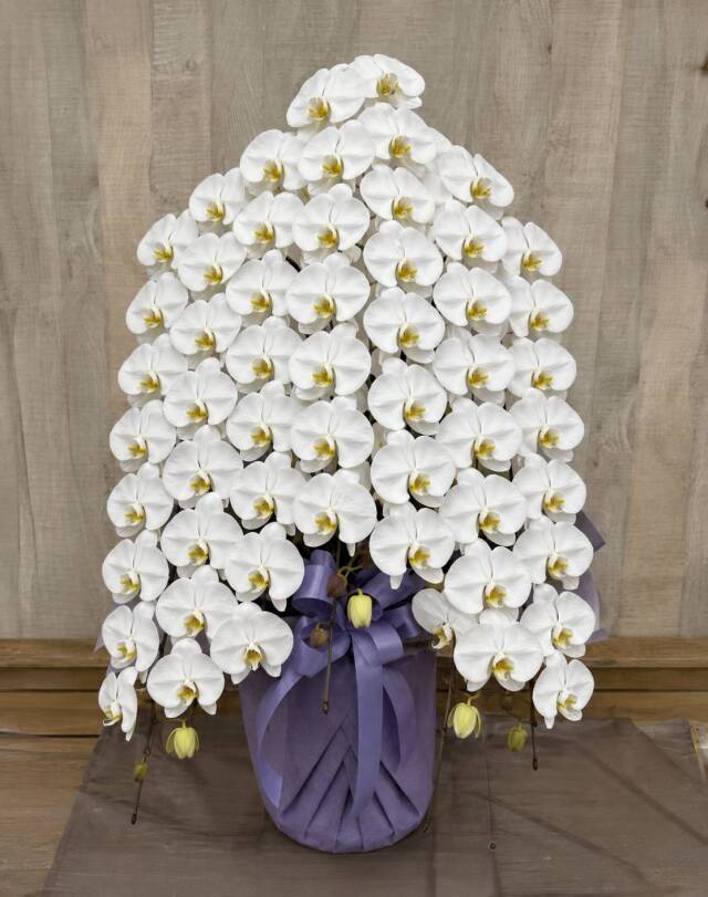 御供花大輪胡蝶蘭 ホワイト 3本立ち 45輪程度(蕾含む）