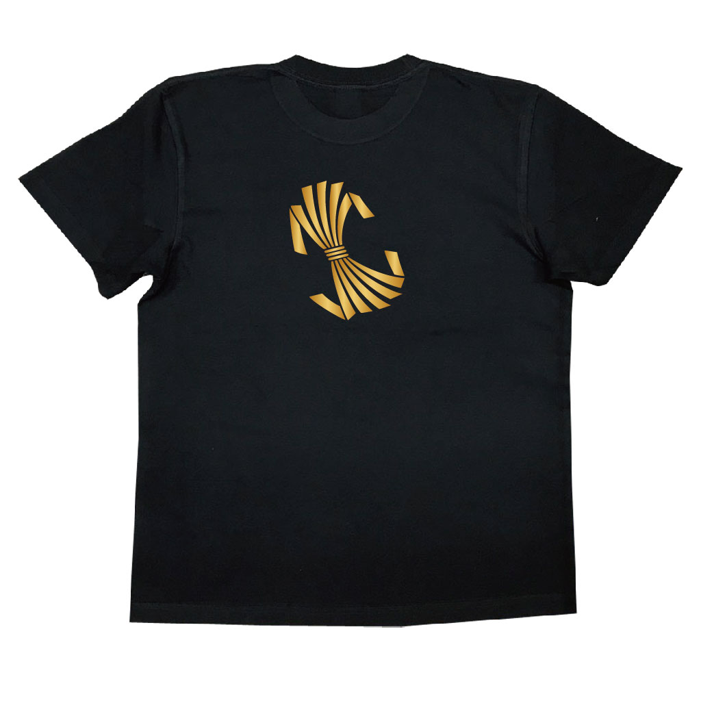 家紋Tシャツ 紀伊日前国懸神社