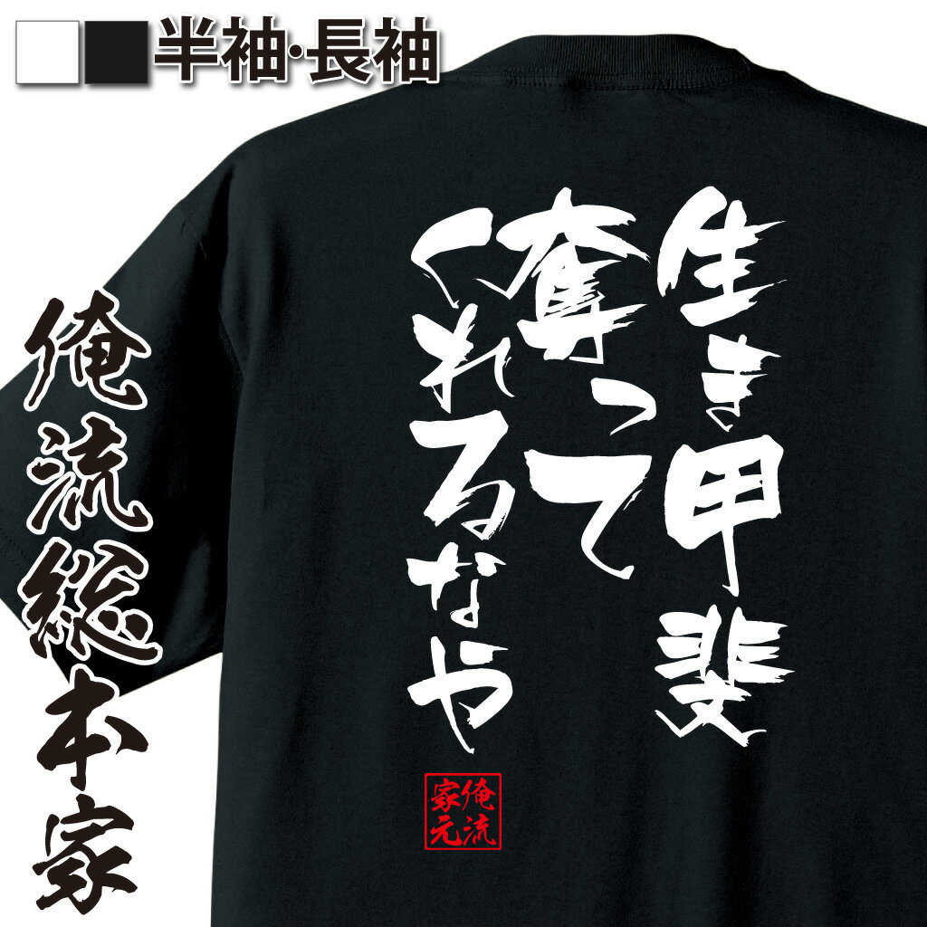 おもしろTシャツの俺流総本家|Tシャツ商品画像