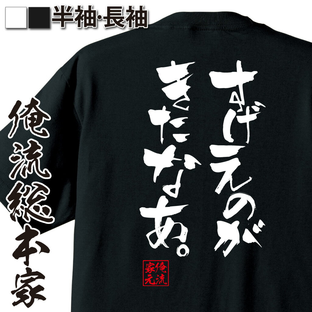 おもしろTシャツの俺流総本家|Tシャツ商品画像