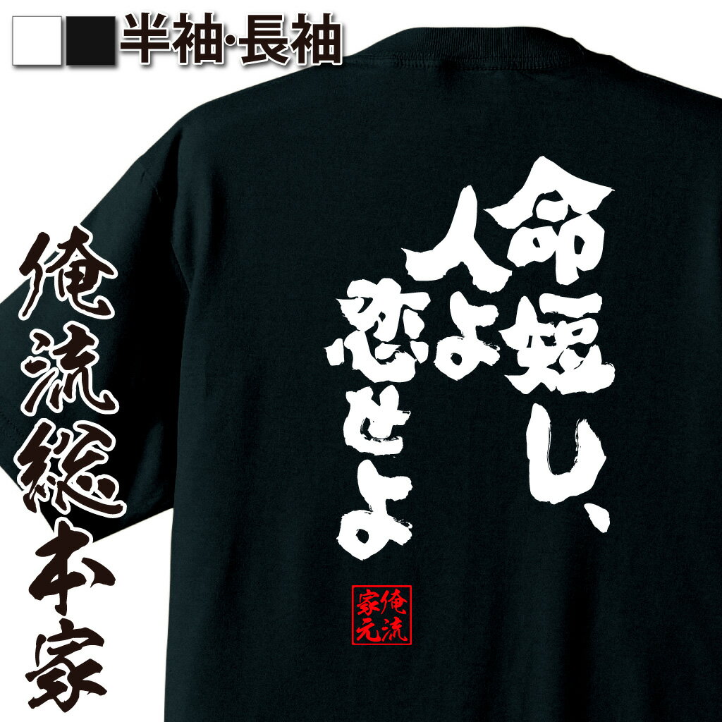 おもしろTシャツの俺流総本家|Tシャツ商品画像