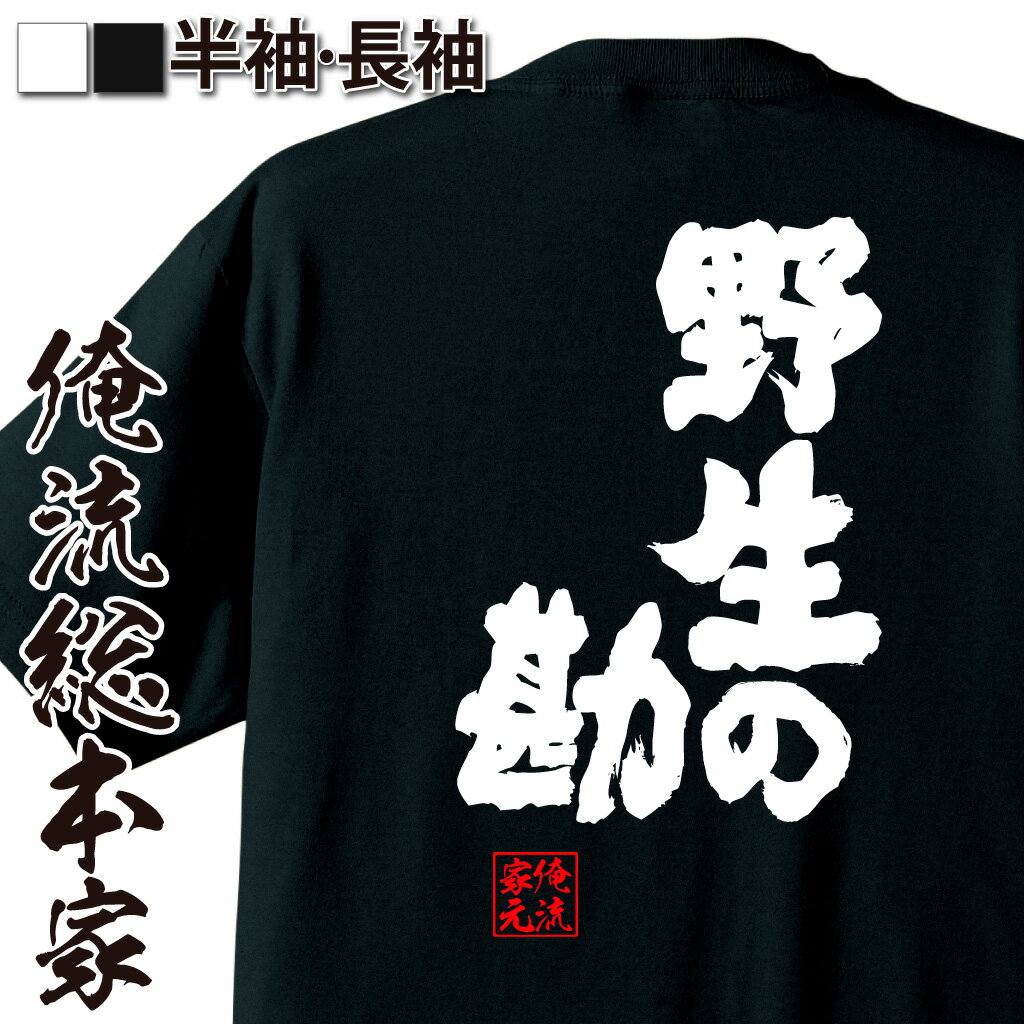 おもしろTシャツの俺流総本家|Tシャツ商品画像