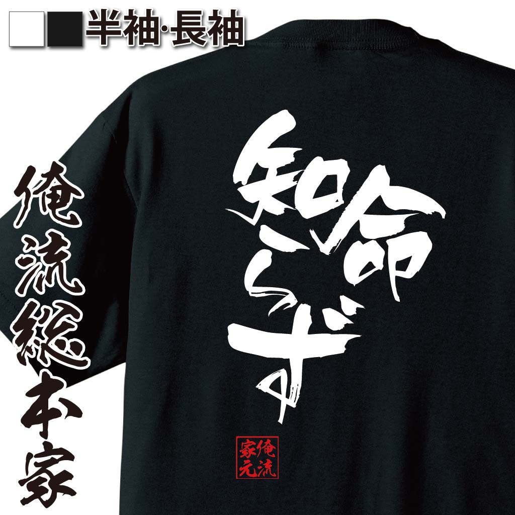 おもしろTシャツの俺流総本家|Tシャツ商品画像