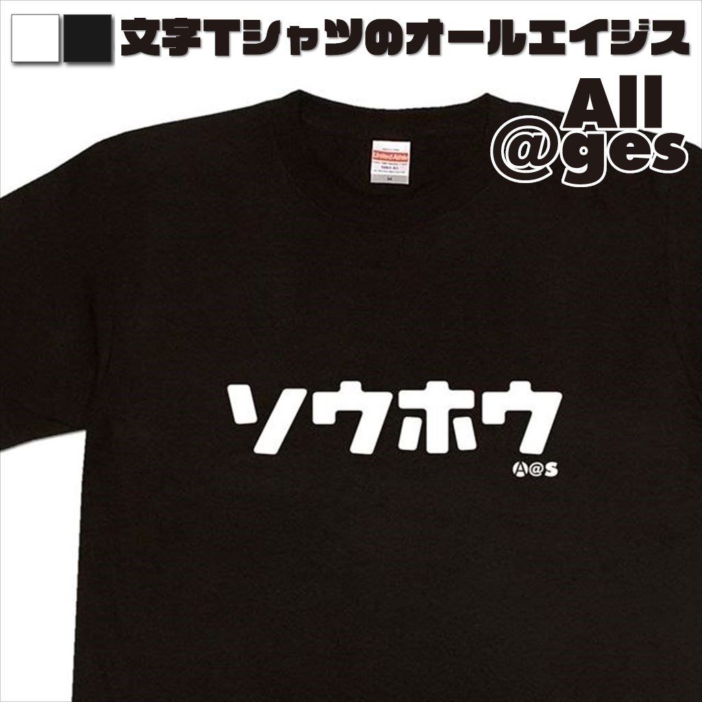 オールエイジス【カタカナTシャツ ソウホウ】