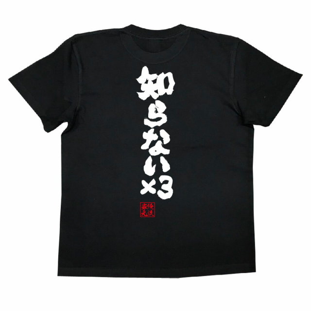 おもしろTシャツの俺流総本家|Tシャツ商品画像