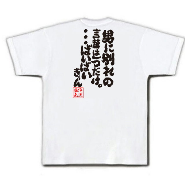おもしろTシャツの俺流総本家|Tシャツ商品画像