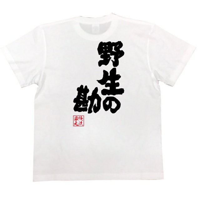おもしろTシャツの俺流総本家|Tシャツ商品画像