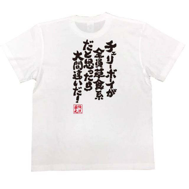 おもしろTシャツの俺流総本家|Tシャツ商品画像