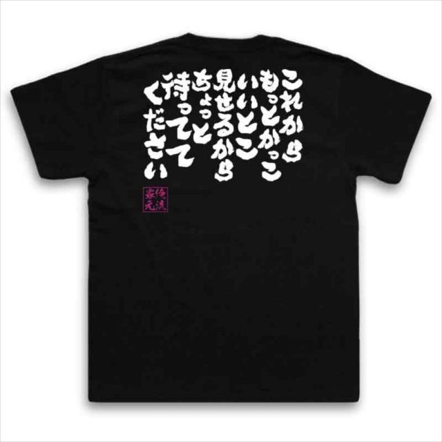 おもしろTシャツの俺流総本家|Tシャツ商品画像