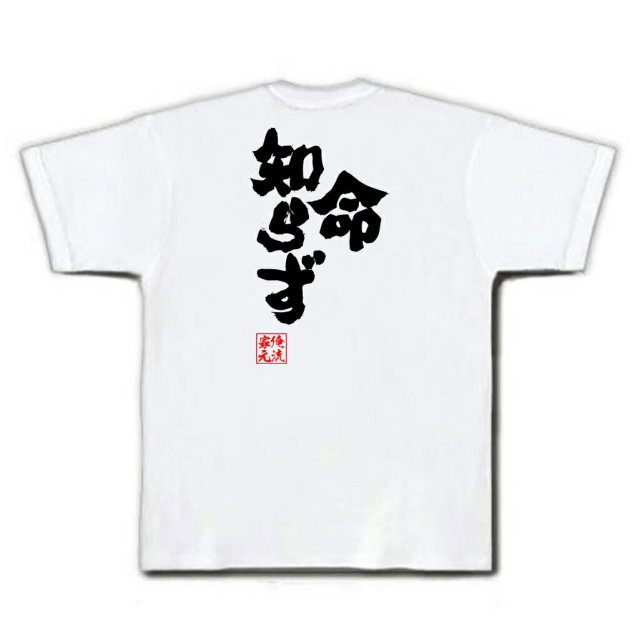 おもしろTシャツの俺流総本家|Tシャツ商品画像