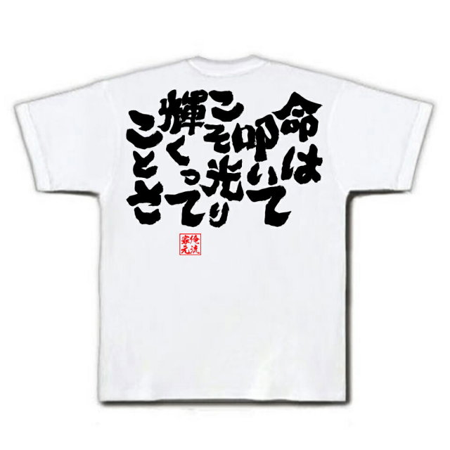 おもしろTシャツの俺流総本家|Tシャツ商品画像