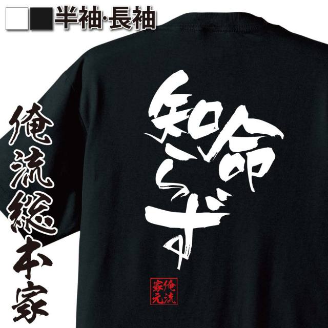 おもしろTシャツの俺流総本家|Tシャツ商品画像