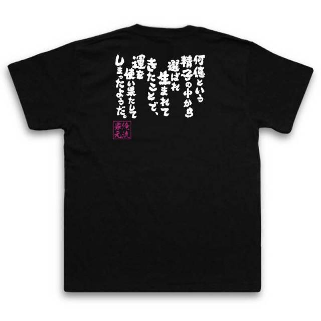 おもしろTシャツの俺流総本家|Tシャツ商品画像