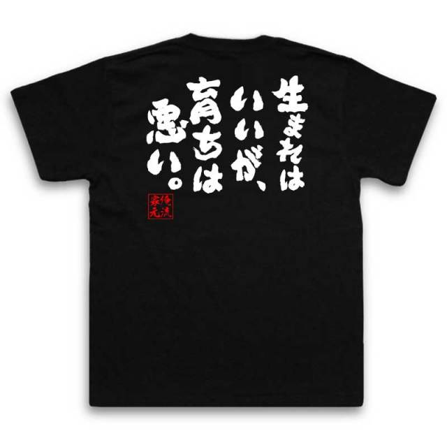 おもしろTシャツの俺流総本家|Tシャツ商品画像