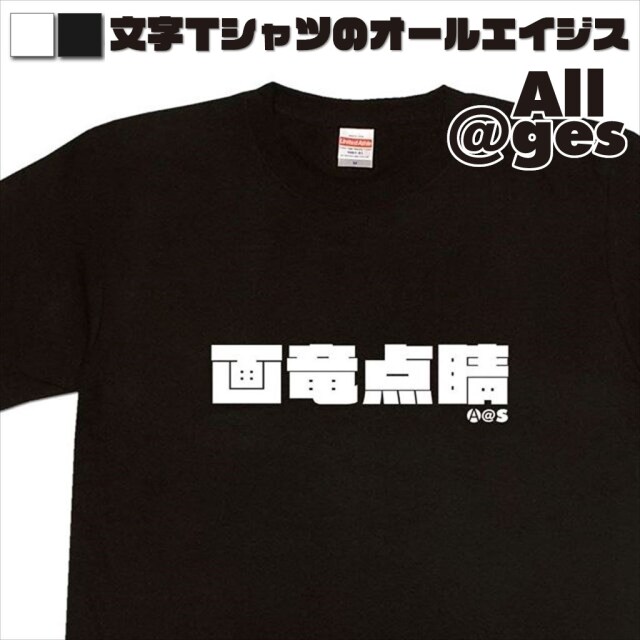 オールエイジス【漢字Tシャツ 画竜点睛】