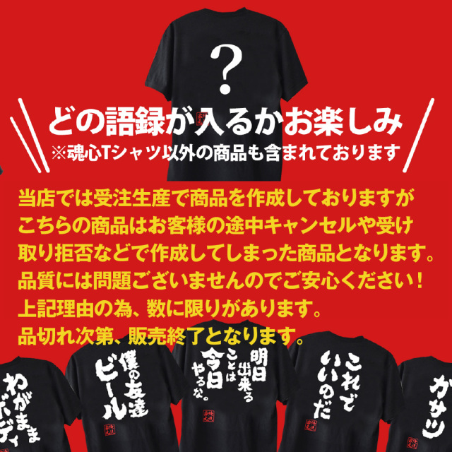 在庫限り】【 俺流総本家 】 おもしろtシャツ 俺流総本家 福袋 5枚