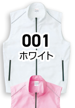 メーカー商品写真 mv-00068-rsv-c011.png