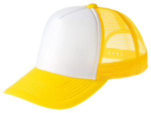 メーカー商品写真 mv-00700-evm-c306.png