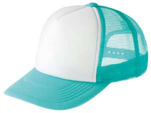 メーカー商品写真 mv-00700-evm-c308.png