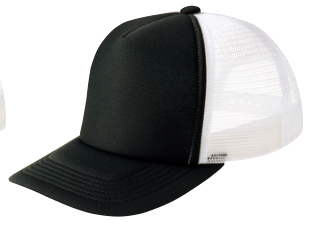 メーカー商品写真 mv-00700-evm-c705.png