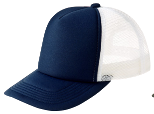メーカー商品写真 mv-00700-evm-c731.png