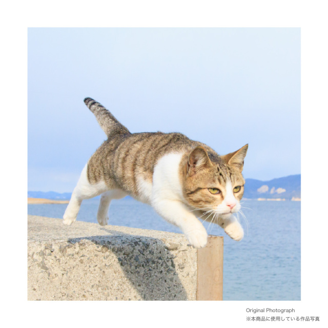 【 おもしろ ギフト 猫グッズ 】 俺流総本家 × 写真家 五十嵐健太 飛び猫 Tシャツ 1