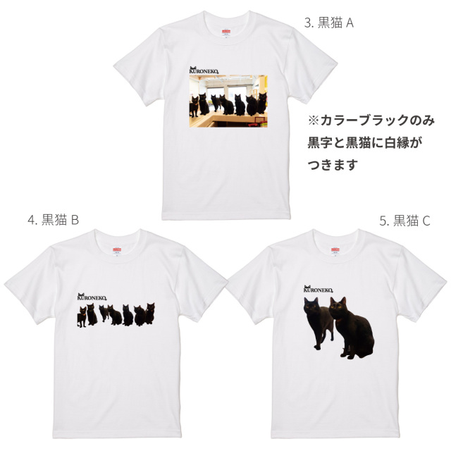 おもしろ ギフト 猫グッズ 】 俺流総本家 × 写真家 五十嵐健太 飛び猫