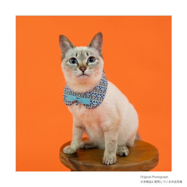 【 おもしろ ギフト 猫グッズ 】 俺流総本家 × 写真家 五十嵐健太 飛び猫 Tシャツ 1