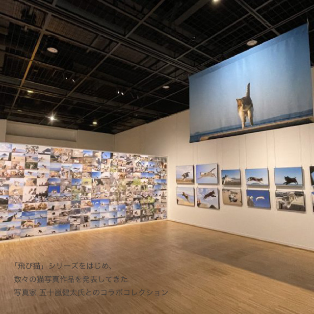 【 おもしろ ギフト 猫グッズ 】 俺流総本家 × 写真家 五十嵐健太 飛び猫 Tシャツ 1