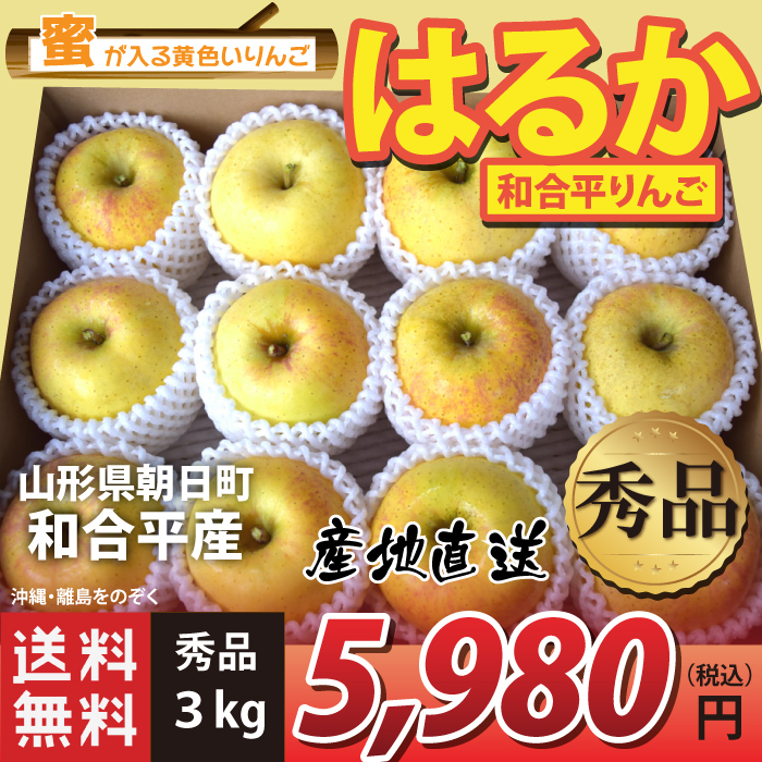 【山形県朝日町和合平産】 和合平りんご はるか 蜜が入る黄色いりんご 秀品 3kg 産地直送  送料無料！（沖縄・離島・一部地域を除く)12月上旬～順次発送