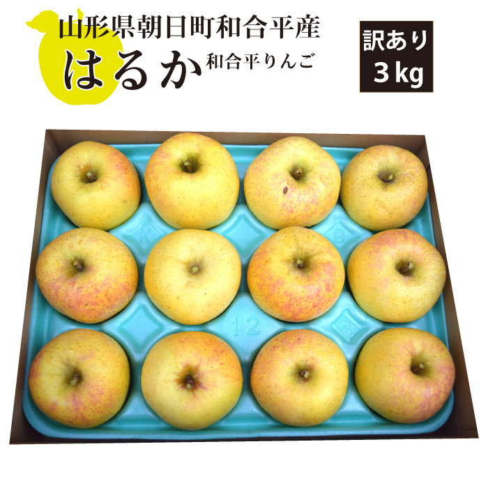 【訳あり】 和合平りんご はるか 3kg 山形県朝日町和合平産 産地直送  送料無料！（沖縄・離島・一部地域を除く)12月上旬～12月中旬 順次発送