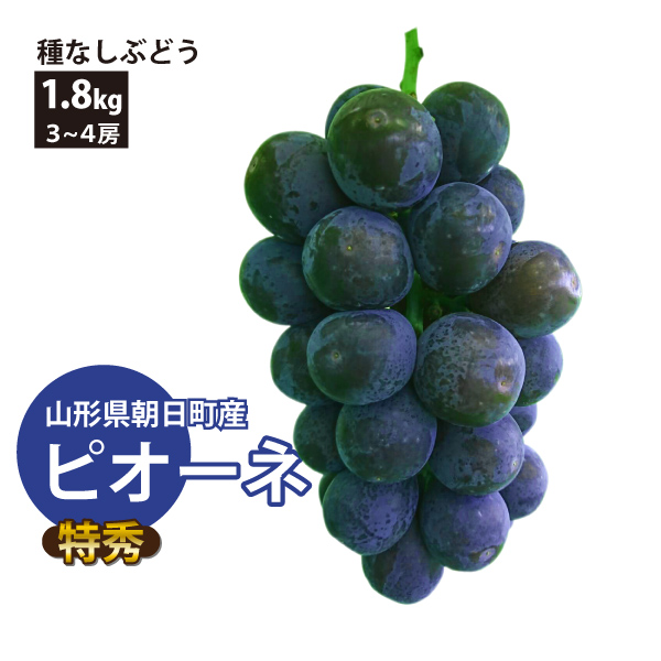 【2025年先行予約】【山形県朝日町産】 種なしぶどう ピオーネ 約1.8kg（3～4房） 減農薬 日本ワインコンクール金賞受賞農園 特秀 産地直送 送料無料！（沖縄・離島を除く)9月中旬から御注文順に順次発送