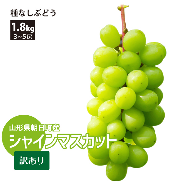 【2025年先行予約】【山形県朝日町産】 種なしぶどう シャインマスカット 約1.8kg（3～5房） 減農薬 訳あり 産地直送 送料無料！（沖縄・離島を除く)10月上旬から御注文順に順次発送