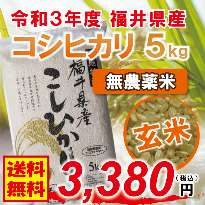 令和5年度新米】無農薬福井県産1級コシヒカリ 30kg 玄米 エコファーマー認