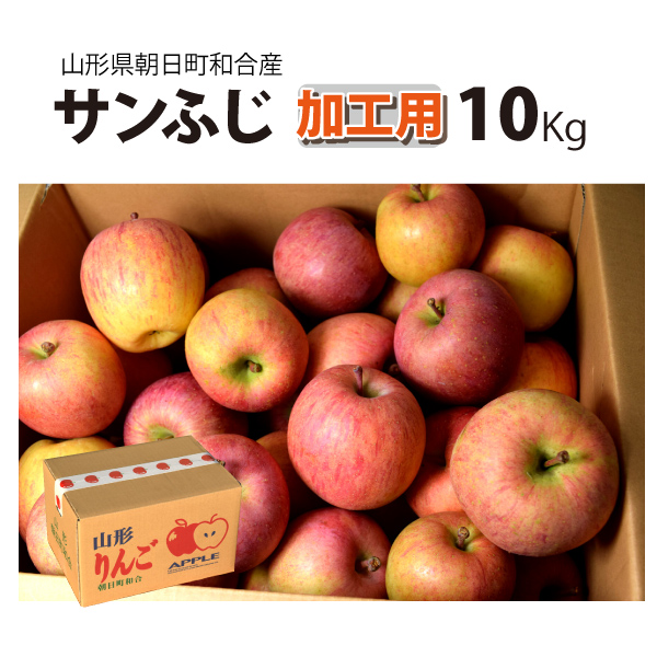 【加工用】　和合りんご　サンふじ　山形県朝日町和合産　１０ｋｇ　12月上旬～順次発送　送料無料！（沖縄・離島を除く)時間指定可！