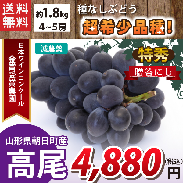 【2023年先行予約】【山形県朝日町産】 超希少品種！ 種なしぶどう 高尾 約1.8kg（4～5房） 減農薬 日本ワインコンクール金賞受賞農園 特秀 産地直送 送料無料！（沖縄・離島を除く)9月中旬から御注文順に順次発送