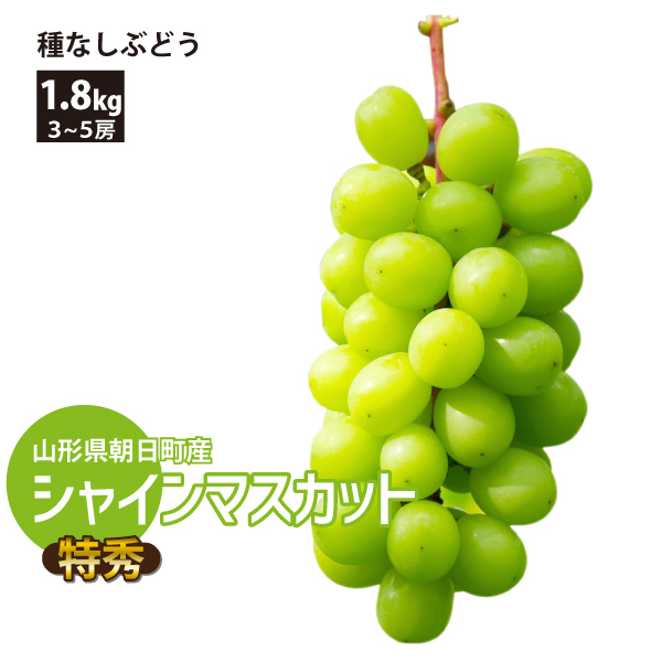 【2024年先行予約】【山形県朝日町産】 種なしぶどう シャインマスカット 約1.8kg（3～5房） 減農薬 日本ワインコンクール金賞受賞農園 特秀 産地直送 送料無料！（沖縄・離島を除く)10月上旬から御注文順に順次発送