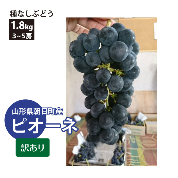 【2024年先行予約】【山形県朝日町産】 種なしぶどう ピオーネ 約1.8kg（3～5房） 減農薬 日本ワインコンクール金賞受賞農園 訳あり 産地直送 送料無料！（沖縄・離島を除く)9月下旬から御注文順に順次発送