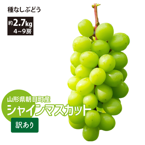 【2024年先行予約】【山形県朝日町産】 種なしぶどう シャインマスカット 約2.7kg（4～9房） 減農薬 訳あり 産地直送 送料無料！（沖縄・離島を除く)10月上旬から御注文順に順次発送
