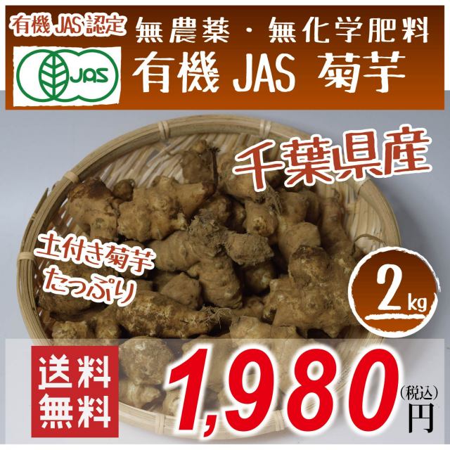 千葉県産　有機JAS　菊芋(土付き)　2kg　テレビで話題のスーパーフード　便秘　糖質制限　水溶性食物繊維　送料無料！お歳暮にも　熨斗可！日付指定可！