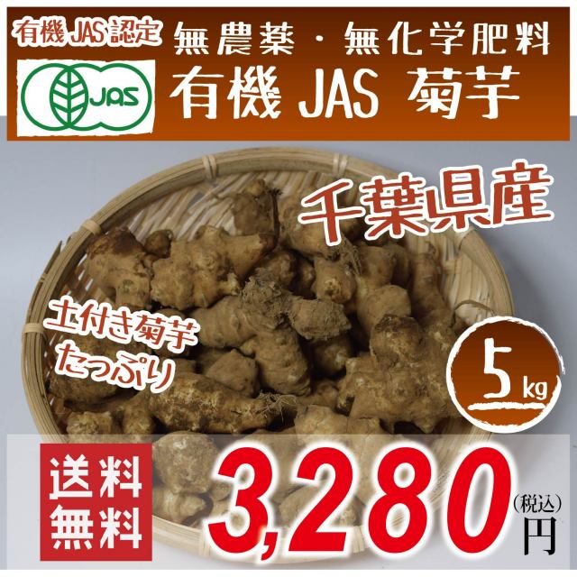 千葉県産　有機JAS　菊芋(土付き)　5kg　テレビで話題のスーパーフード　便秘　糖質制限　水溶性食物繊維　送料無料！お歳暮にも　熨斗可！日付指定可！